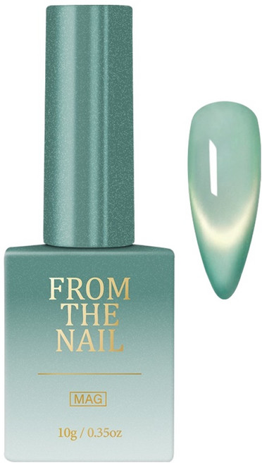 프롬더네일 타이디 자석 젤네일, FG302, 10g, 1개