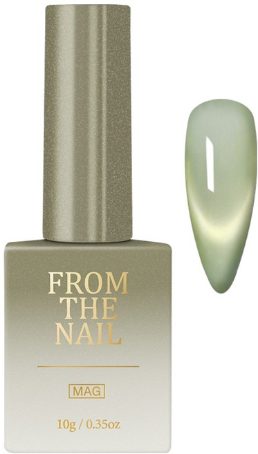 프롬더네일 타이디 자석 젤네일, FG303, 10g, 1개