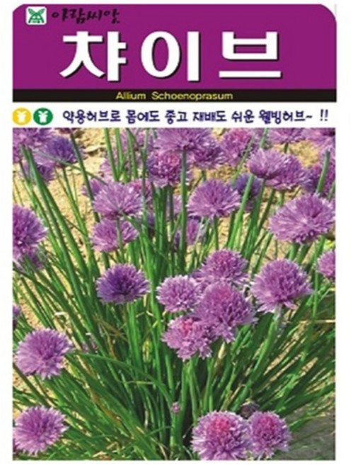 아람종묘 허브 챠이브 씨앗 400p, 1개