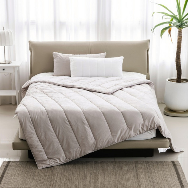 센타스타 슈퍼 소프트코지 솔로 차렵이불