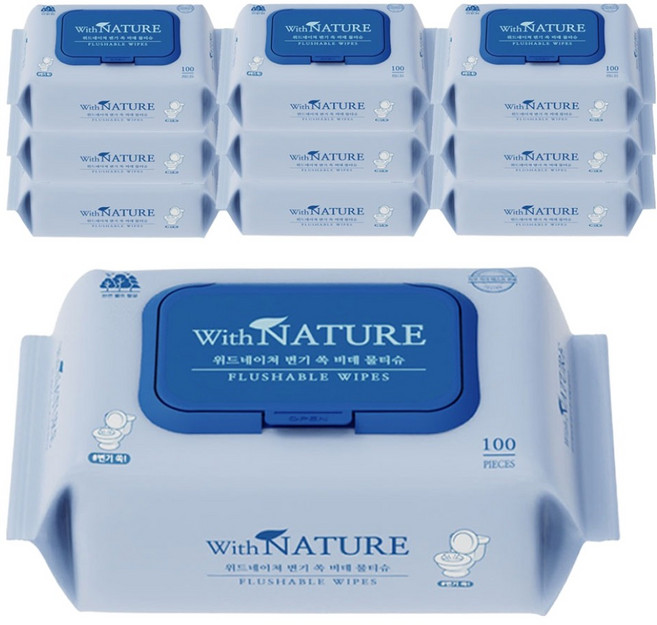 위드네이쳐 변기 쏙 비데 물티슈, 10개, 100매, 70g
