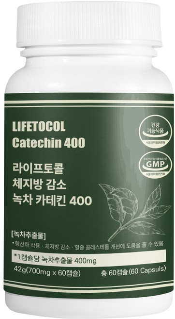 라이프토콜 체지방 감소 녹차 카테킨 400 42g, 1개, 60정