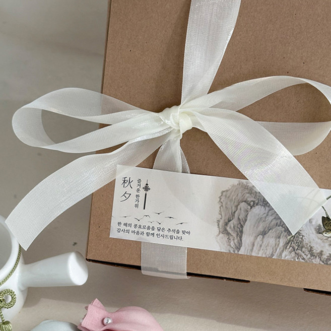 베스트팩 스노우 리본, 밀크, 2개, 18m