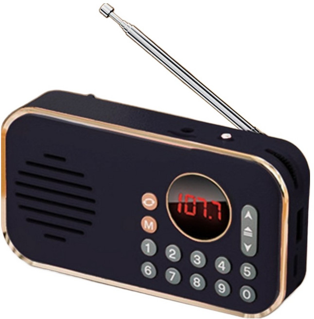 오르미 레트로 휴대용 FM 미니 블루투스 라디오, ORM2, 리치블랙