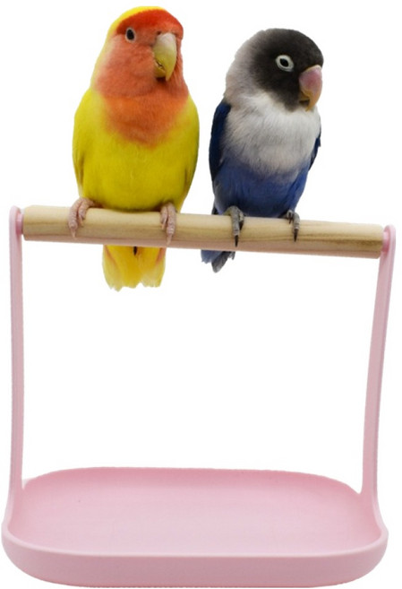 레몽크리프 앵무새 훈련 스탠드 탁상용 횃대, 핑크, 1개