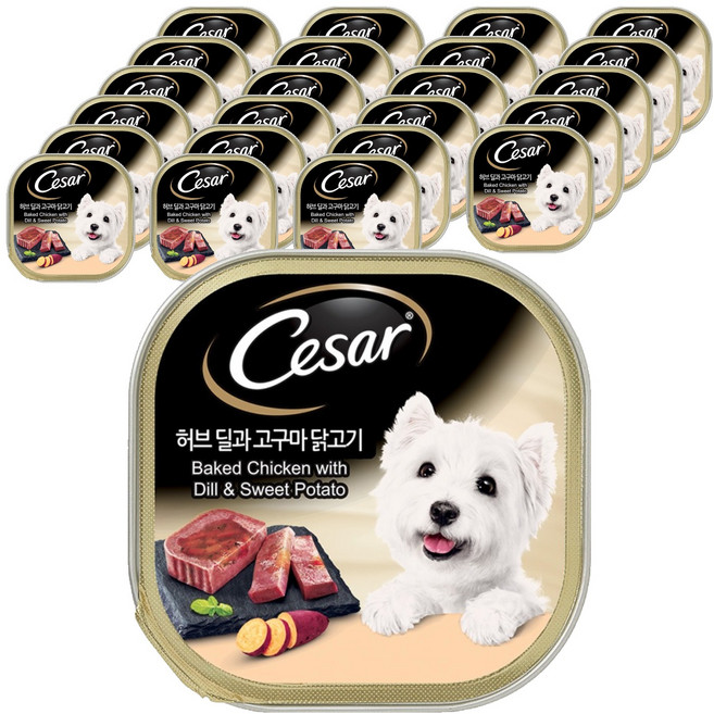 시저 전연령 강아지 주식 캔, 닭+고구마, 100g, 24개