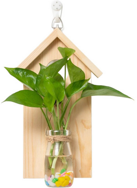 로이 내추럴 우드 벽걸이 투명화분 원목 오두막 스타일