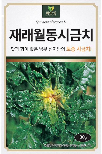 다농 재래월동 시금치 씨앗 30g, 1개
