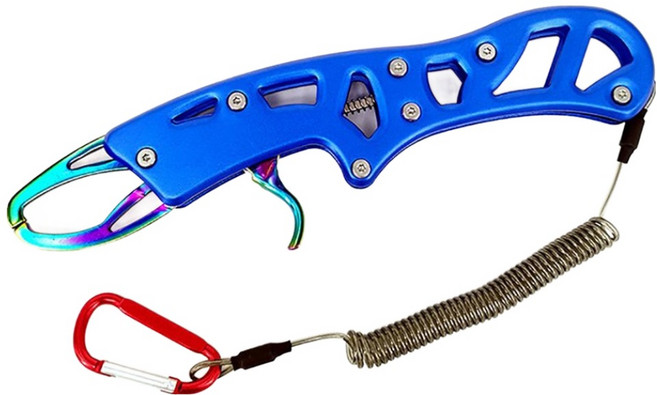 풀메탈 프리미엄 물고기 립그립, 블루, 1개