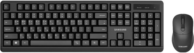 삼성전자 무선 키보드 마우스 세트, SP-R1600B, 블랙, 일반형