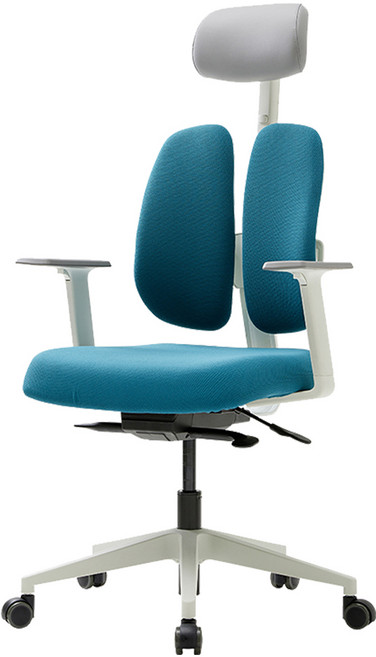 듀오백 골드 사무용 컴퓨터 책상 의자 D2500G-DASW, 블루그린