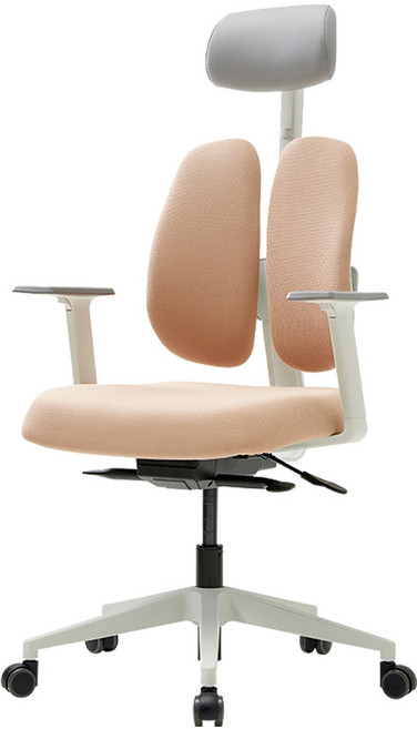 듀오백 골드 사무용 컴퓨터 책상 의자 D2500G-DASW, 베이지