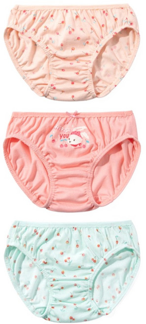 첨이첨이 HSC 팬티 3종세트 02