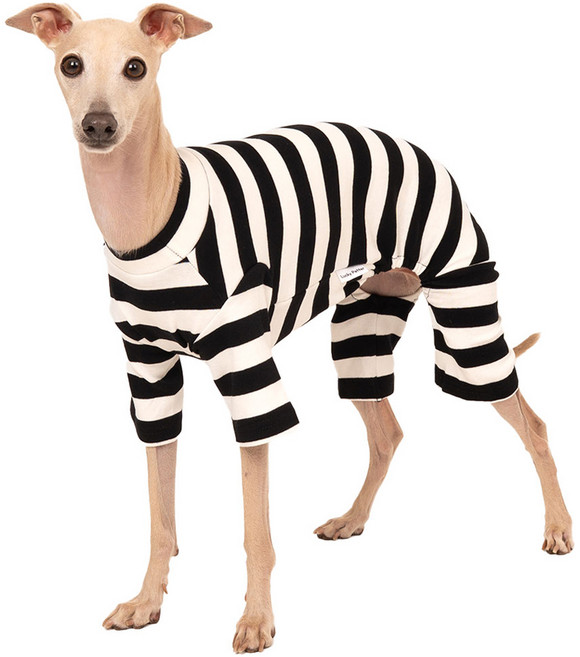 럭키페터 반려동물 베이직 스트라이프 올인원 아이쥐옷, 1개, 화이트 + 블랙