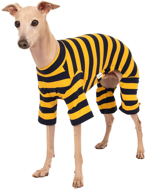 럭키페터 반려동물 베이직 스트라이프 올인원 아이쥐옷, 1개, 옐로우