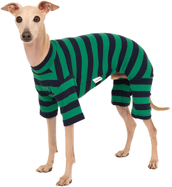 럭키페터 반려동물 베이직 스트라이프 올인원 아이쥐옷, 1개, 그린 + 네이비