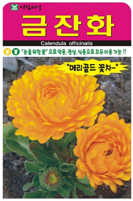 아람종묘 금잔화 꽃 씨앗, 1개