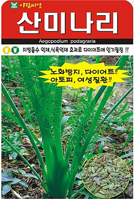 아람종묘 산미나리 씨앗, 1개