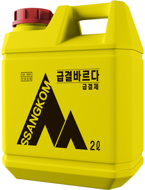 쌍곰 급결바르다 시멘트 급결 보수 방수제 2L, 1개