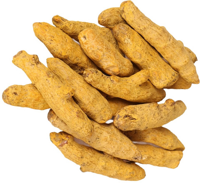 신선약초 인도산 강황 터메릭 뿌리 원물, 500g, 1개