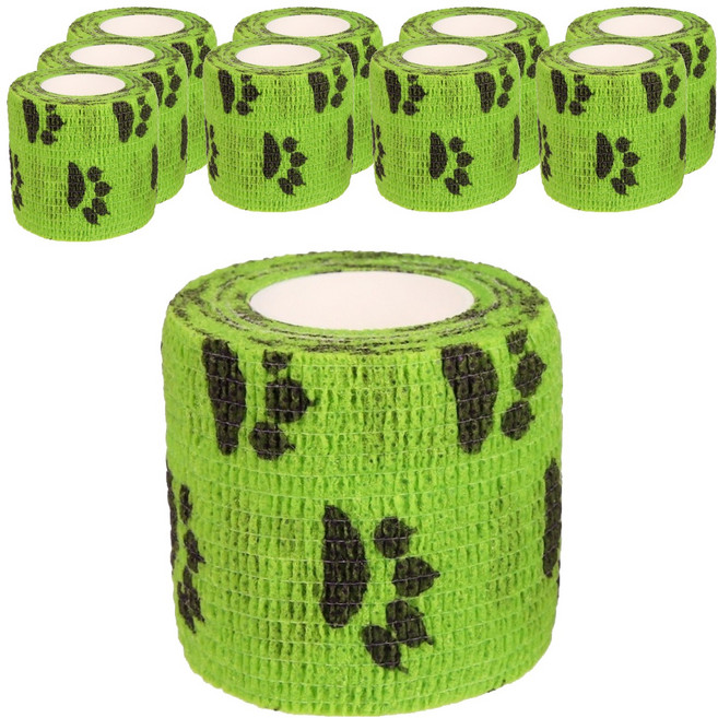 케리빙 강아지 발바닥 산책 테이프 1.7m, 그린, 10개