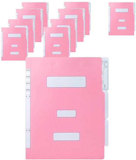 인디 오피스 PP 정부파일, 분홍, 10개