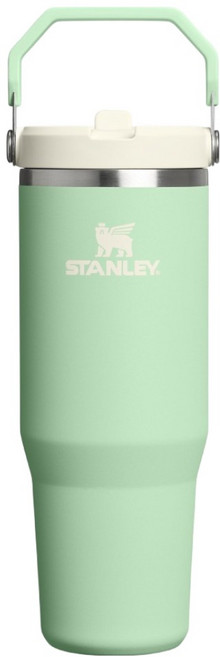 STANLEY 台灣公司貨 經典系列 IceFlow 手提吸管杯2.0, 0.88L, 開心果綠, 1個