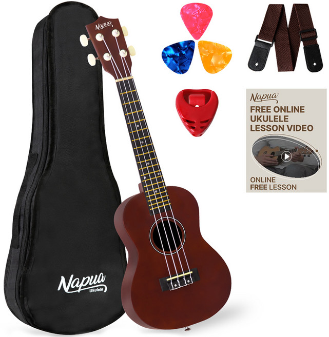 나푸아 입문용 우쿨렐레 패키지 세트 NU330C BN, 콘서트, 1세트
