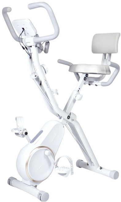 숀리 엑스바이크 노바 메타 헬스싸이클, IW-652-G9, 팬텀 골드