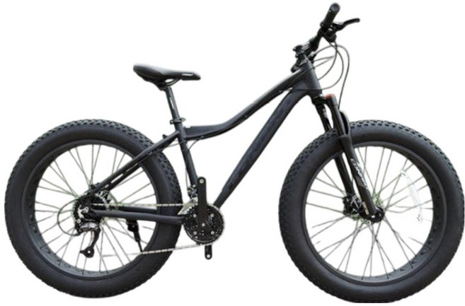 코난트 에프 900 펫바이크 방문설치, 맷블랙, 1개, 180cm