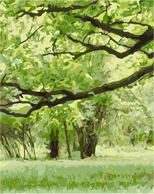 플레이어바웃 DIY 유화 그림그리기 세트 40 x 50 cm, 포레스트 드림(GX41399), 1세트