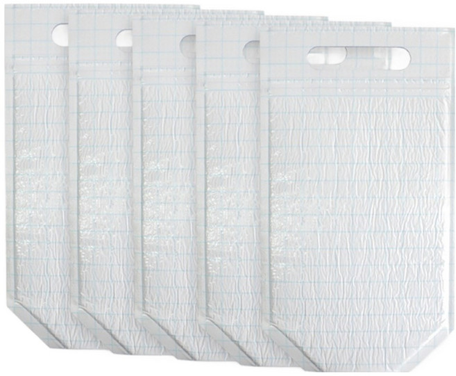 피크닉 보냉파우치, 화이트, 5개