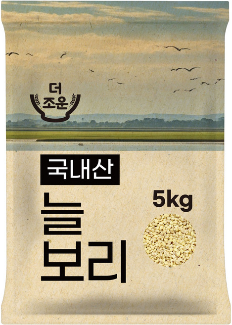 더조운 국내산 늘보리, 5kg, 1개