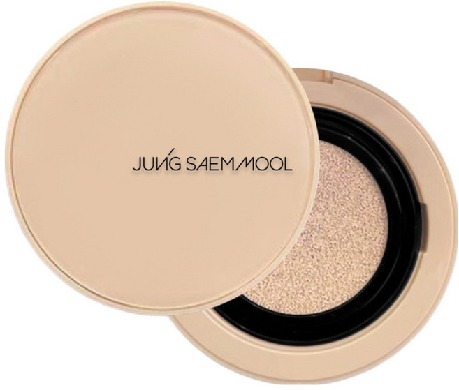 정샘물 스킨 누더 쿠션 컨실러 10g, 라이트, 1개