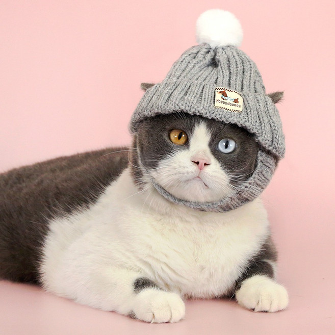 파스텔펫 반려동물 폼폼 방울 니트모자, 그레이, 1개