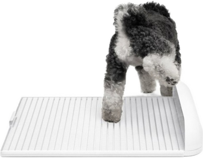 독톡 배변판, 화이트, 1개