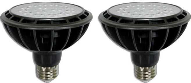 장수램프 블루밍 LED PAR30 15W 집중형 전구 램프 블랙, 전구색, 2개
