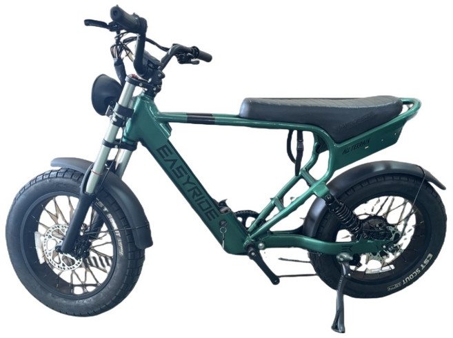 이지라이드 올터레인 48V 500W 15Ah 전동자전거 고객직접설치, 펄그린, 알루미늄