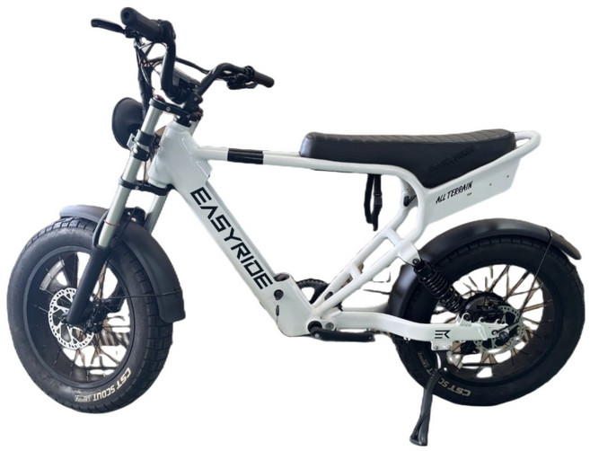 이지라이드 올터레인 48V 500W 15Ah 전동자전거 고객직접설치, 펄화이트, 알루미늄