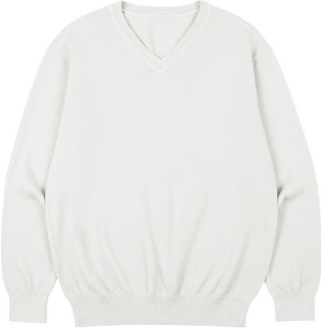 빅이지 남성용 제론 브이넥 니트