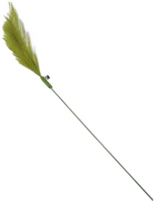 FAMINOU 法米諾 Verdure 羽穗草逗貓棒, 綠色, 1個