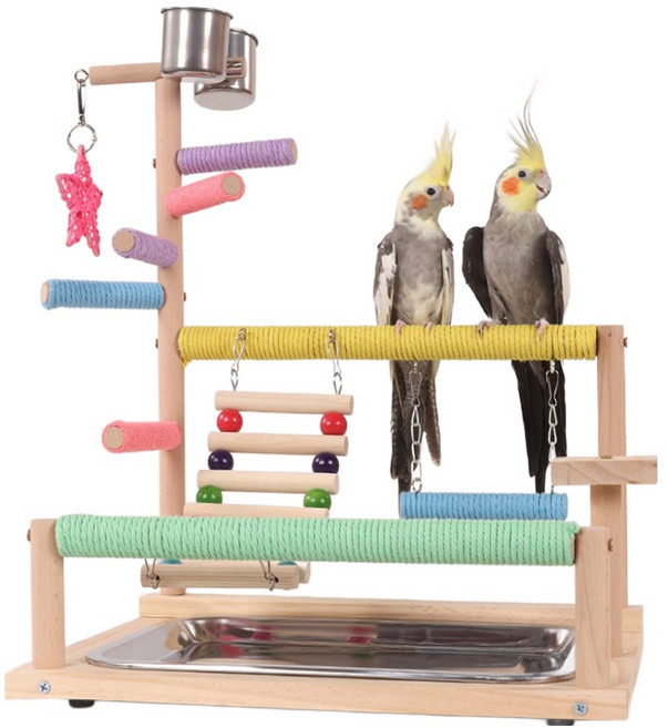 칠시 앵무새 레인보우 플레이스탠드, 혼합색상, 1개