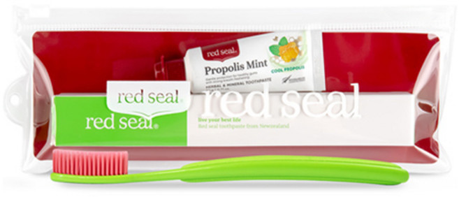 레드씰 프로폴리스 민트 치약 20g + 그래핀모 칫솔 여행용 세트, 1세트