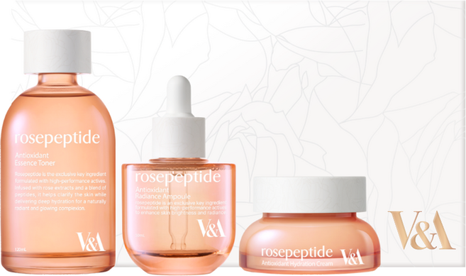 브이앤에이뷰티 안티옥시던트 스킨 케어 에센셜 3종 세트, 1세트