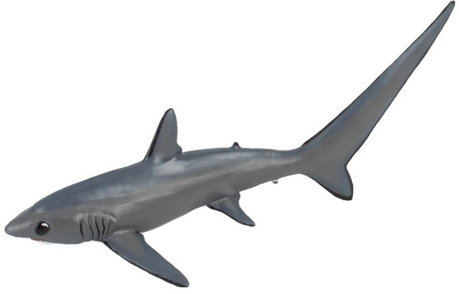 파포 환도상어 피규어, 1개