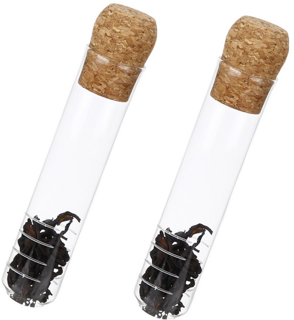 plala 透明玻璃泡茶器, 2個