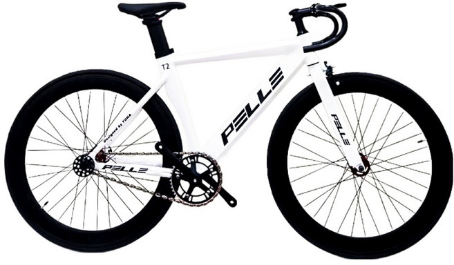 펠레스포츠 T2 픽시 자전거 48 S 방문설치, Matta White + Black, 1개, 160cm