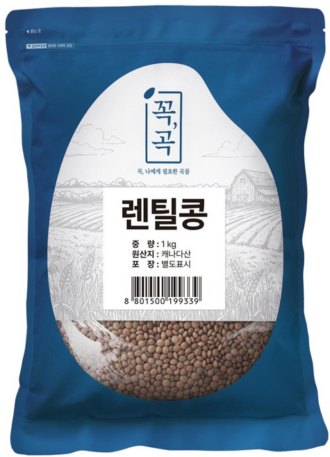 두보식품 렌틸콩, 1kg, 1개