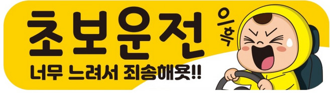 뭉키데코 고휘도 반사 칼라 탈부착 자석 차량스티커 250 x 70 mm RMF 031, 초보운전, 1개