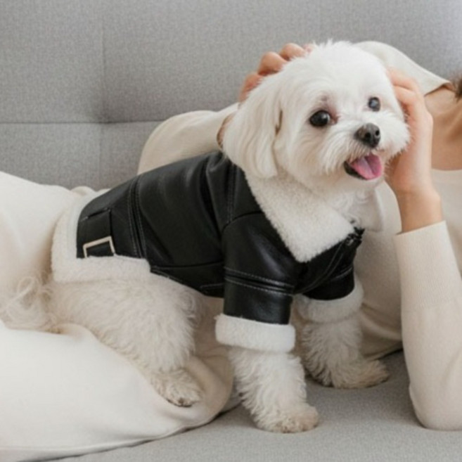 반려동물 겨울 프리미엄 방한복 무스탕, 1개, 라이더 무스탕 검정색